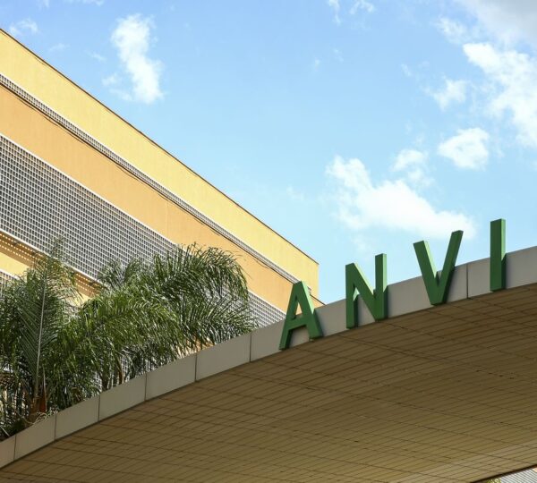 Anvisa proíbe produtos à base de alulose, um tipo de adoçante; entenda