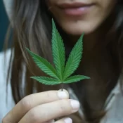 Consumo de Cannabis entre meninas triplica em 10 anos e chega a 7,9%, diz Unifesp