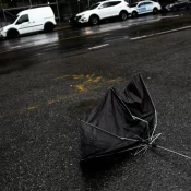 Enel diz que deve restabelecer o fornecimento de energia em SP até a noite de domingo, 14