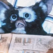 'Gremlins' ganhará novo filme três décadas após último lançamento