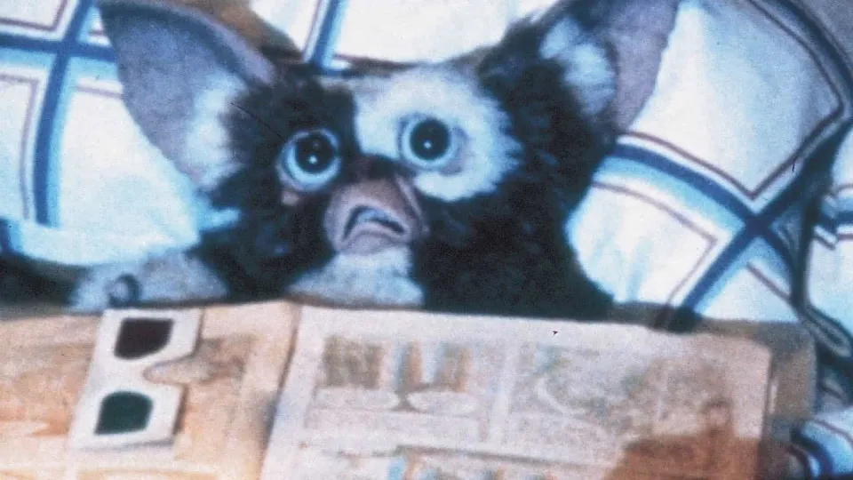 'Gremlins' ganhará novo filme três décadas após último lançamento