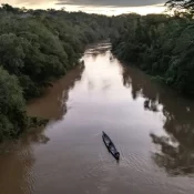 Menina de 2 anos morre depois de ser atacada por piranhas no rio Amazonas