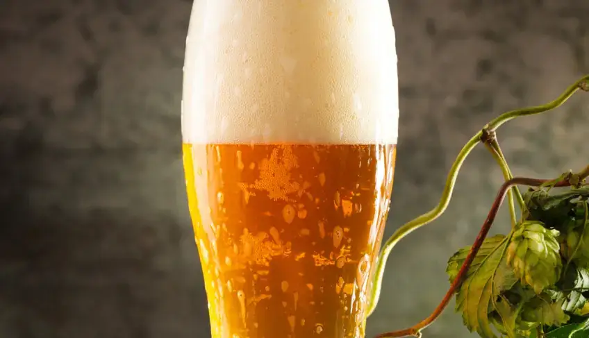 Mercado cervejeiro cresce quase 18% no Rio de Janeiro em cinco anos | ASN Rio de Janeiro