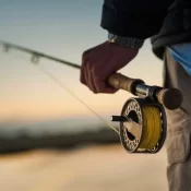 Pescadores profissionais têm até dia 31 para comprovar atividade