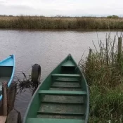 Pesquisadora é achada morta após cair em rio durante coleta de água no RS