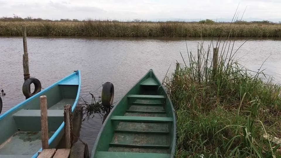 Pesquisadora é achada morta após cair em rio durante coleta de água no RS