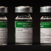 Aplicação da vacina da dengue do Butantan começará a partir do dia 17