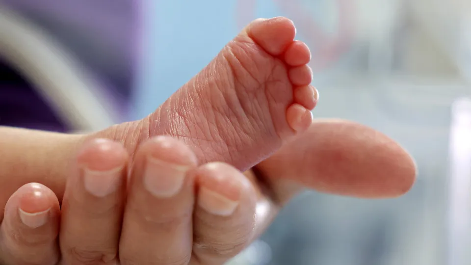 Bebê passa por cirurgia na língua em hospital de SP e família diz que não autorizou