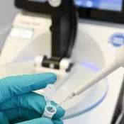 Brasil tem 17 cientistas em lista dos mais citados do mundo, 1 a mais do que em 2024