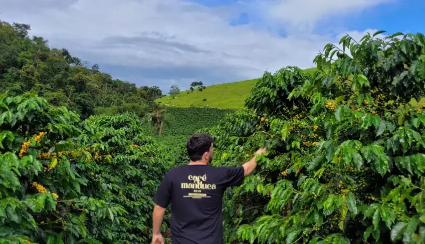 Da lavoura à xícara: a história do Café Manduca de Porciúncula | ASN Rio de Janeiro