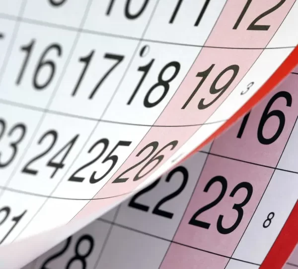 Dia da Consciência Negra é feriado nacional desde 2023; veja direitos do trabalhador