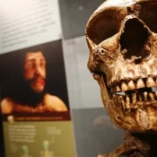 Fósseis de 770 mil anos podem revelar ancestral de humano moderno e de neandertal