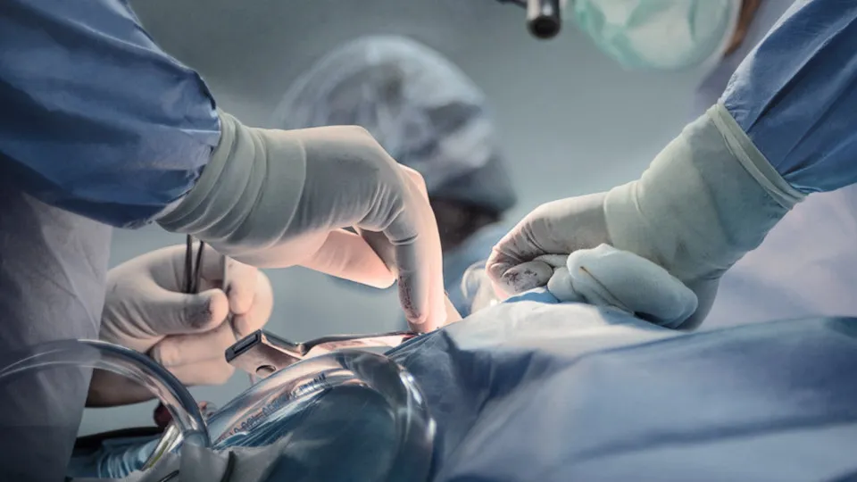 Gêmeos siameses morrem após cirurgia de separação em Goiânia