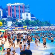 Guerra dos guarda-sóis expõe disputa por espaço público em praia de SP