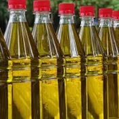 Lista de azeites proibidos cresce e já soma 26 marcas em 2025; veja quais