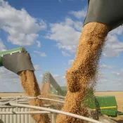 Processadoras de soja deixam acordo sobre desmatamento na Amazônia