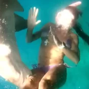 Vídeo mostra mordida de tubarão em turista em Fernando de Noronha