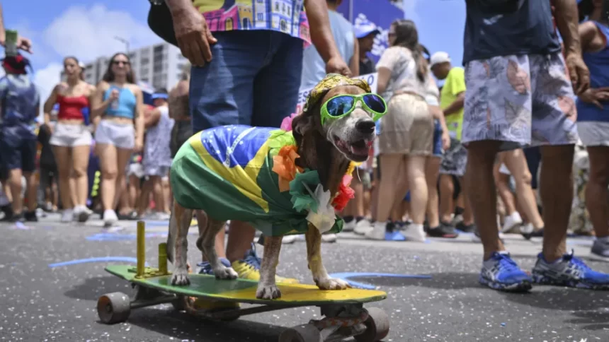 Animais de estimação com fantasias de Carnaval