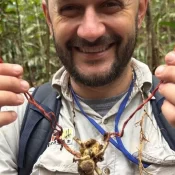 Fungo do “The Last of Us” é identificado em tarântula na Amazônia