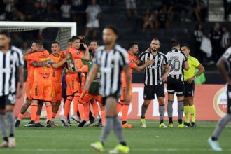 Botafogo cai para o Barcelona e fica fora da Libertadores
