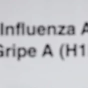 Casos de gripe grave já somam 24 mil no ano e avançam no país, aponta Fiocruz