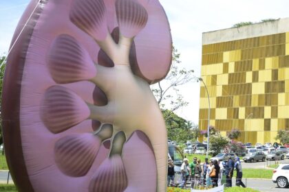 Dia Mundial do Rim: doenças renais são silenciosas e exigem atenção