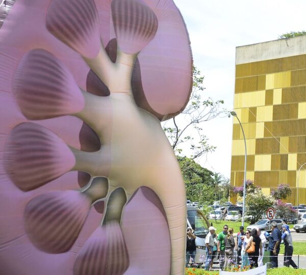 Dia Mundial do Rim: doenças renais são silenciosas e exigem atenção