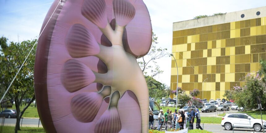 Dia Mundial do Rim: doenças renais são silenciosas e exigem atenção