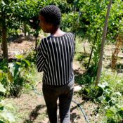 Horta comunitária reúne memória, cuidado e cidadania em favela do Rio