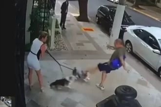 Justiça condena aposentado por agredir cães de irmã do ministro Zanin, do STF