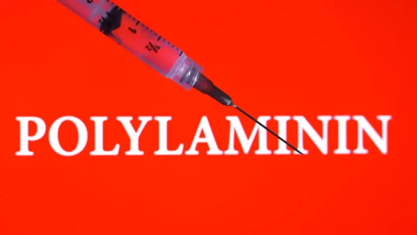 Polilaminina: entenda a esperança e os testes ainda necessários