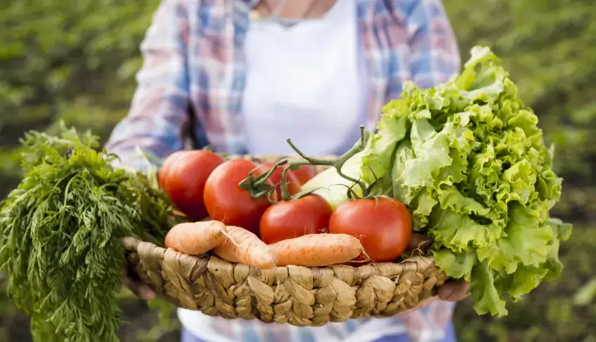 Sebrae Rio realiza em Friburgo projeto gratuito de capacitação em horticultura | ASN Rio de Janeiro