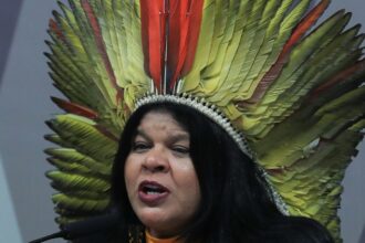 Sônia Guajajara apresenta melhoras, mas continua internada em SP