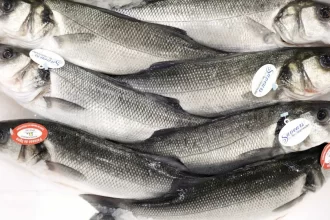 Vigilância Sanitária orienta sobre compra de pescado na Semana Santa