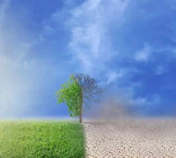 Avançam projeções de El Niño mais forte neste ano