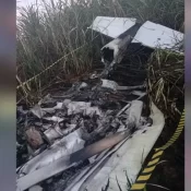 Avião monomotor cai no interior de SP e piloto morre carbonizado