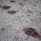 Mulher morre atropelada por caminhão que prestava serviço para a Sabesp