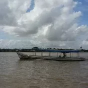 Quatro são presos com carga de grude de peixe avaliada em R$ 1 mi no Amapá