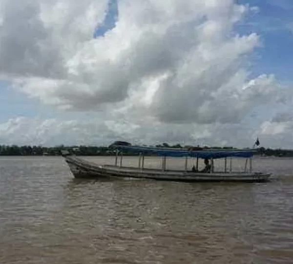 Quatro são presos com carga de grude de peixe avaliada em R$ 1 mi no Amapá