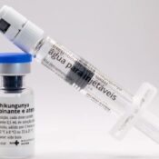 Butantan vai produzir vacina nacional contra chikungunya