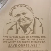 David Attenborough chega aos 100 anos com saga sobre um gorila
