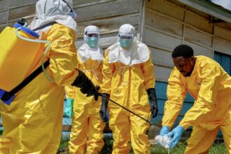 Ebola: OMS eleva a muito alto risco na República Democrática do Congo
