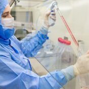 Estudo usa células-tronco contra complicações do transplante de medula