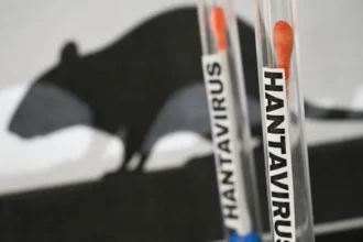 Paraná confirma dois casos de hantavírus e investiga outros 11