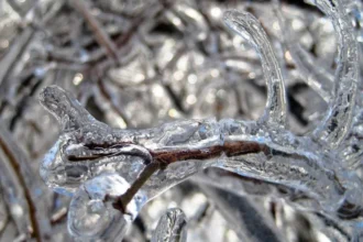 Previsão diz que há chance de neve no Brasil neste fim de semana