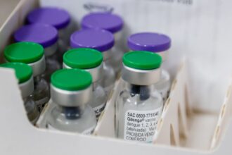 São Paulo amplia público-alvo da vacinação contra a dengue