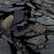 Tremor de terra é registrado no Rio de Janeiro