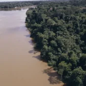 Desmatamento na Amazônia cai 61,4% em maio de 2026