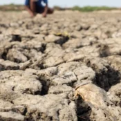 El Niño começou e ficará intenso no final do ano, aponta agência dos EUA