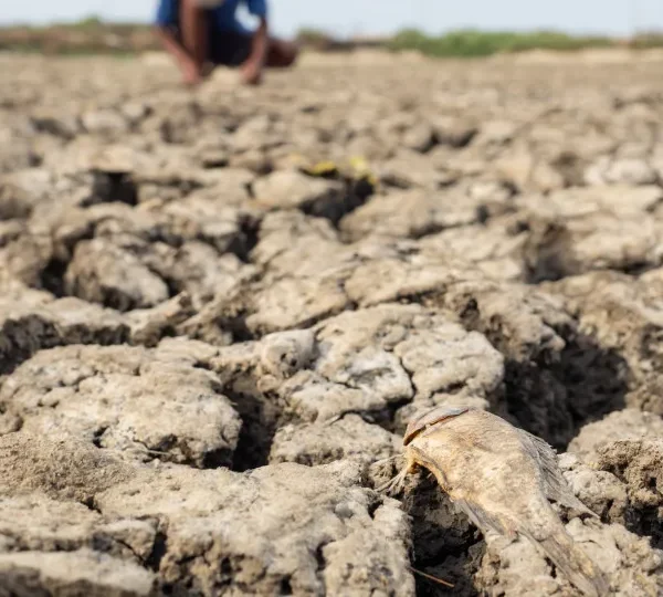 El Niño começou e ficará intenso no final do ano, aponta agência dos EUA